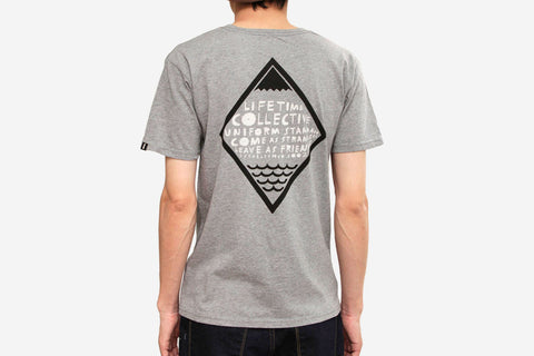 INTO THE WILD - Heather Grey