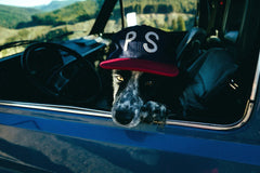 PS WOOL HAT - Navy