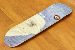 BEN GORE / ZOO SERIES - 8.0" x 31.5"
